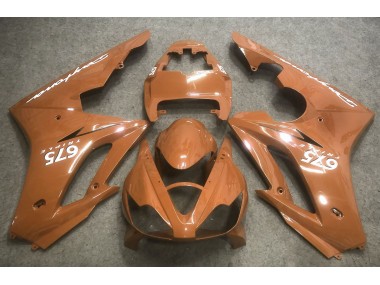 06-08 Bronze Daytona 675 Carénage