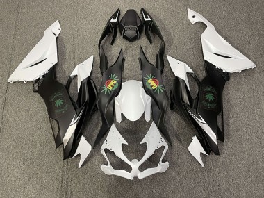19-23 Faccia Felice ZX6R Carénage
