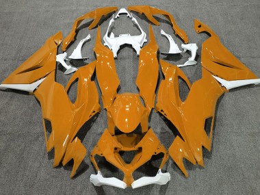 19-23 Orange Brillant & Blanc ZX6R Carénage