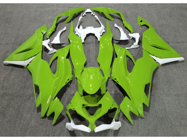 19-23 Vert Brillant & Blanc ZX6R Carénage